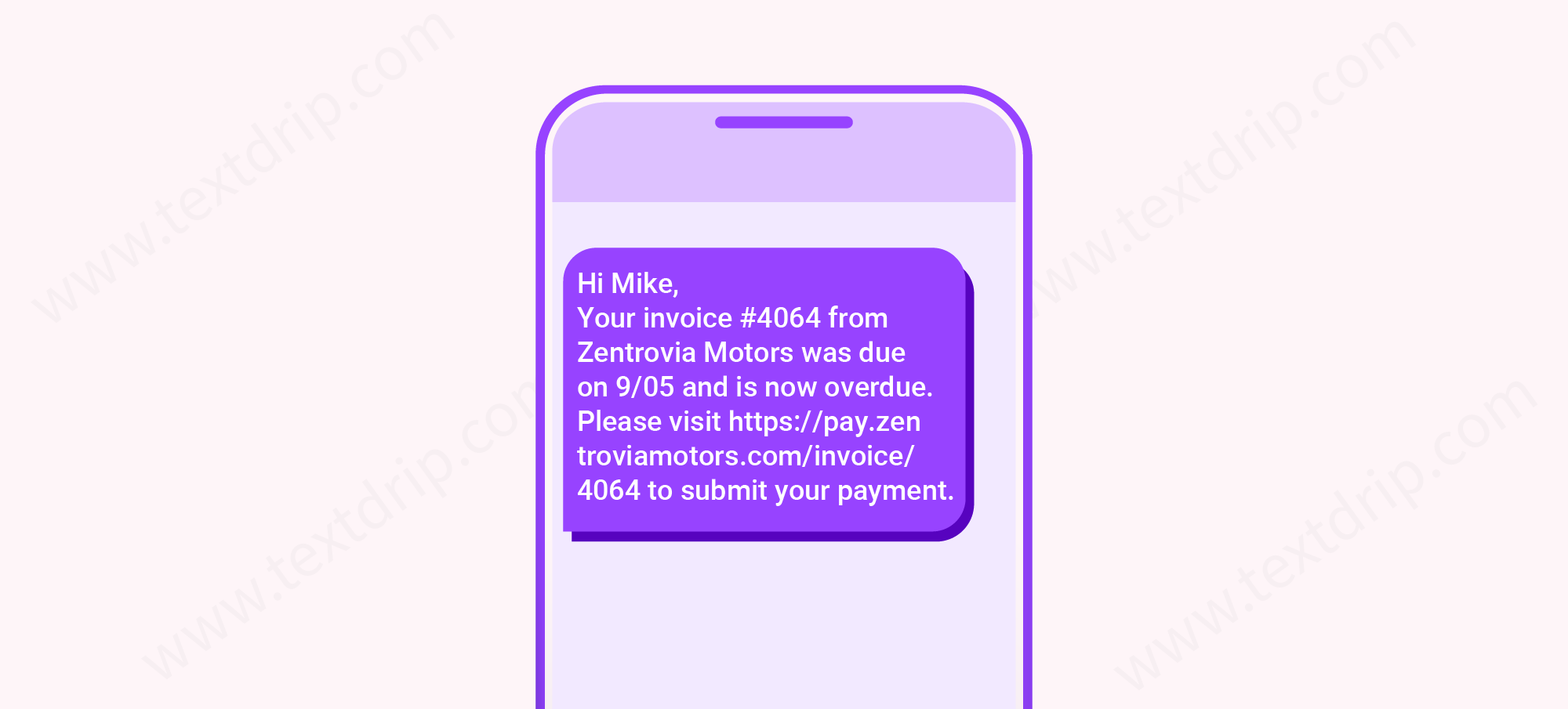 Payment Reminder SMS